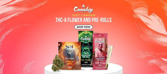 Canabzy Review: Honest Take on THC Product