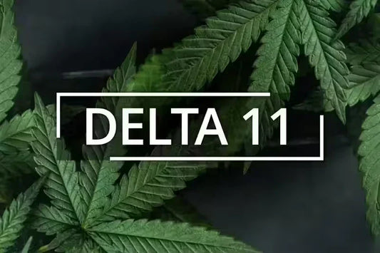 Delta 11: What We Know So Far