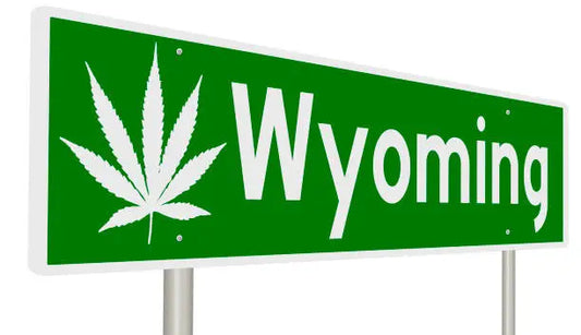 Exploring the Legality: Is Delta 10 Legal in Wyoming?
