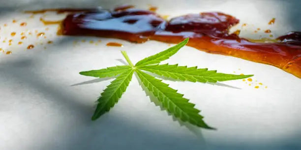 HTE vs Live Resin: A Comparison of Cannabis Concentrates