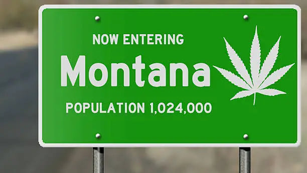 Is HHC Legal In Montana? Decoding State's Cannabis Laws