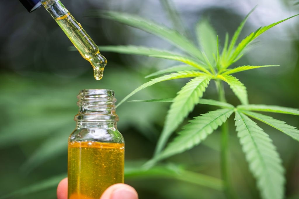 Unlock The Power Of Hemp In Louisiana With Delta 8!