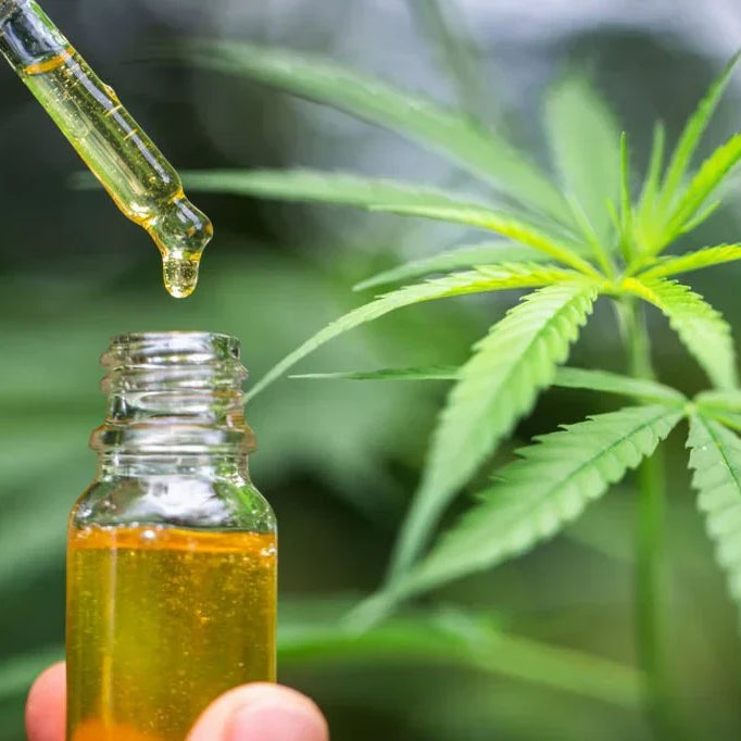 Hemp in Louisiana: Power, Rules & Industry Impact