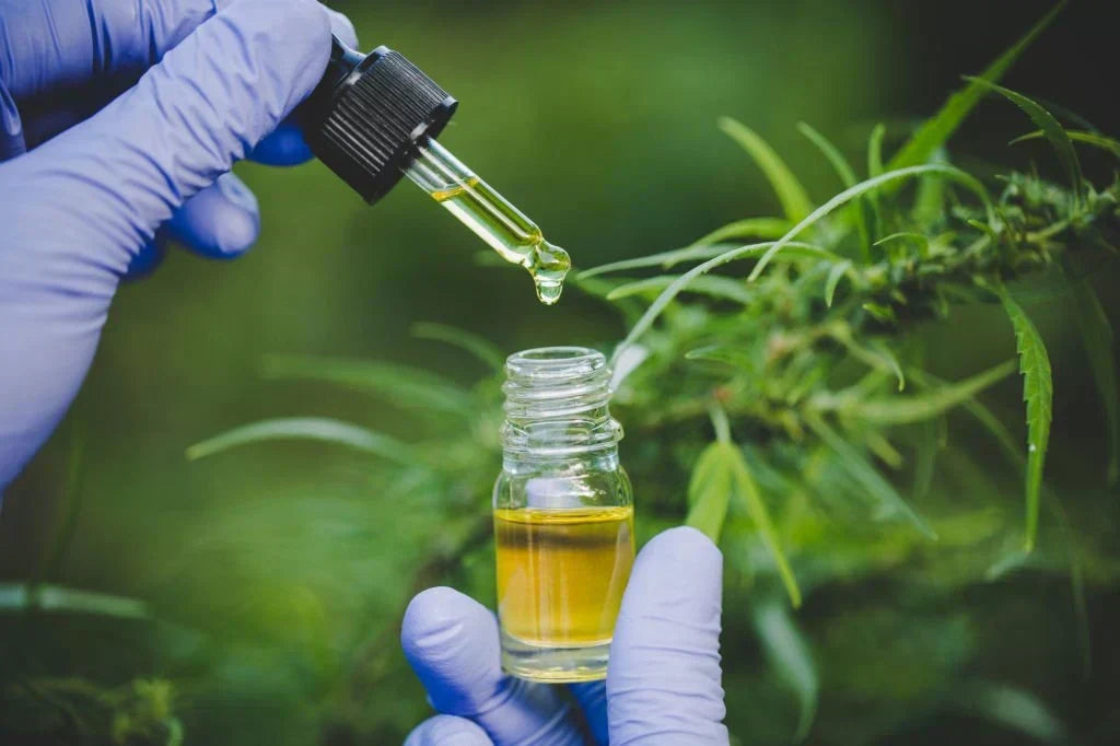 Exploring the Entourage Effect in Hemp: A Deep Dive — 2026 Update