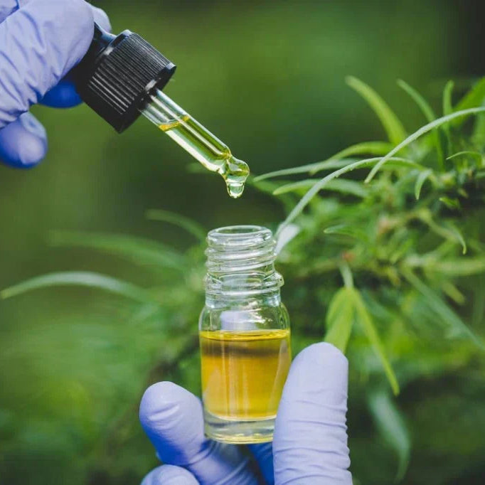 Exploring the Entourage Effect in Hemp: A Deep Dive — 2026 Update