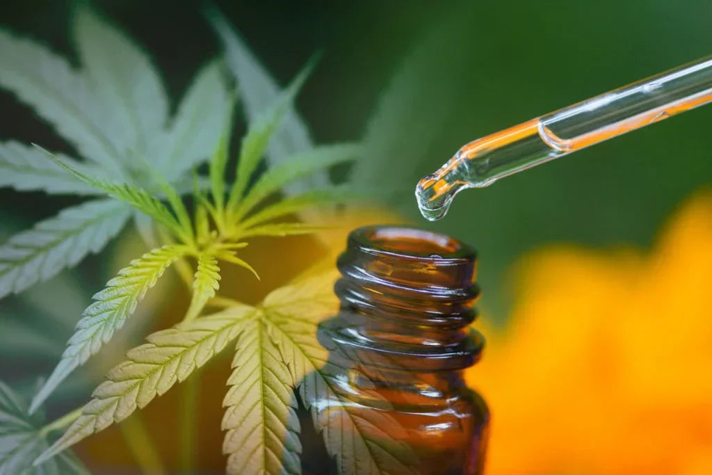 What Is THC-H? Exploring the Potent New Cannabinoid