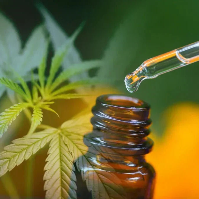 What Is THC-H? Exploring the Potent New Cannabinoid — 2026 Update