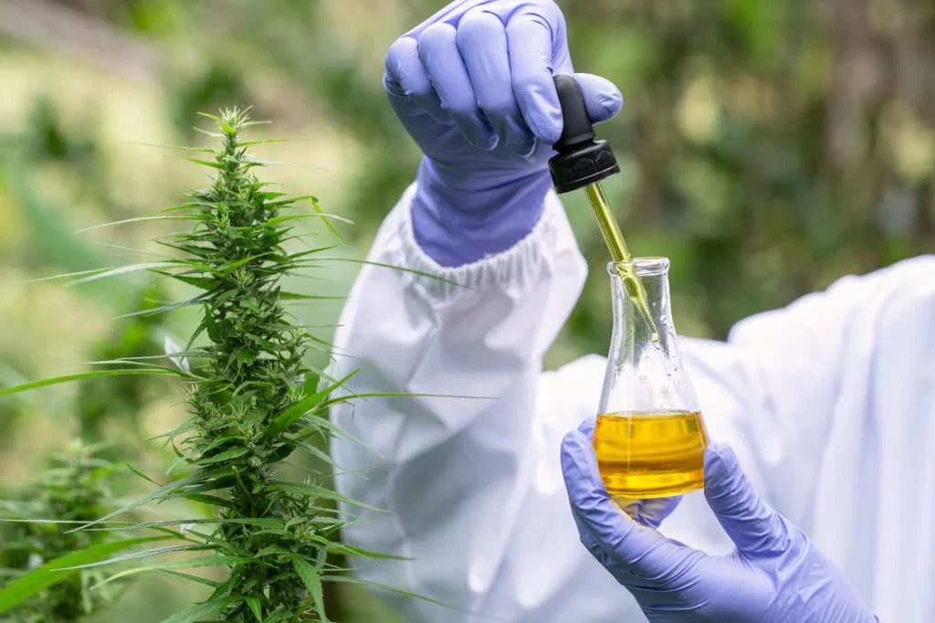 The Science Behind Delta 8, Delta 10, and Other Hemp Derivatives