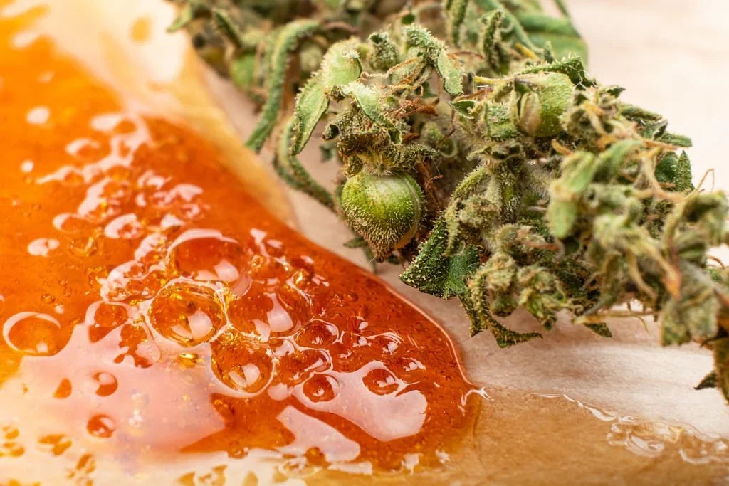 The Power of Rosin Weed: Solvent‑Free Extract Guide