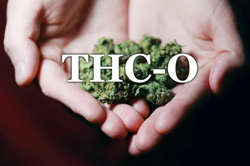 THC-O's Role in the Cannabinoid Family