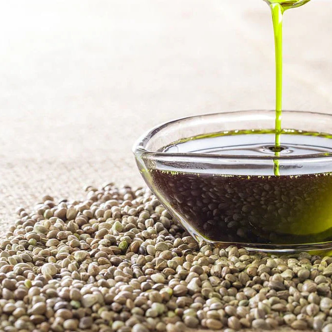 Cooking With Hemp: Boost Your Meals with Nutritious Hemp — 2026 Update