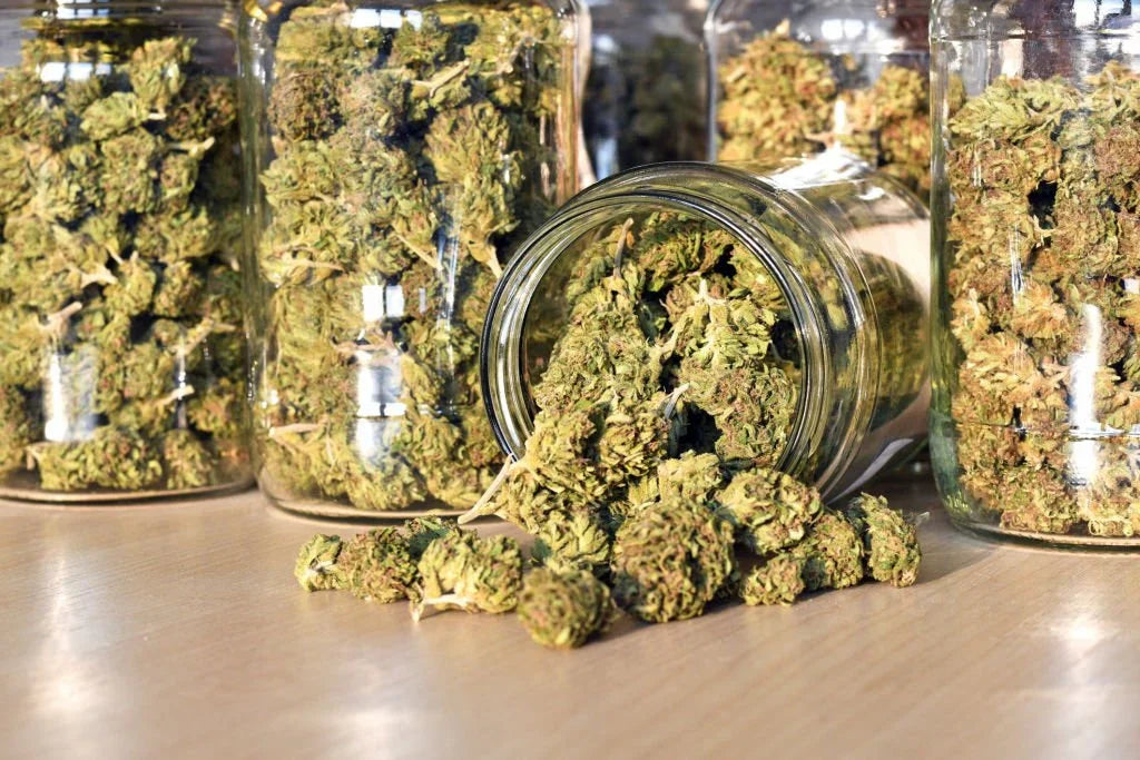 Delta-10 Vs Delta-8 Vs Delta-9: Which Hemp Product Is Right for You?