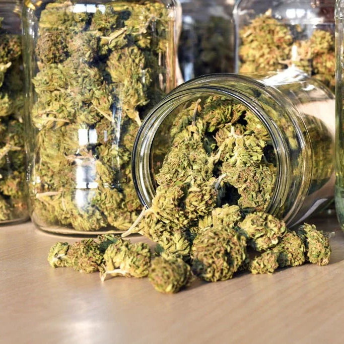 Which Hemp Product Is Right For You?