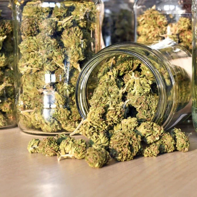 Which Hemp Product Is Right For You?