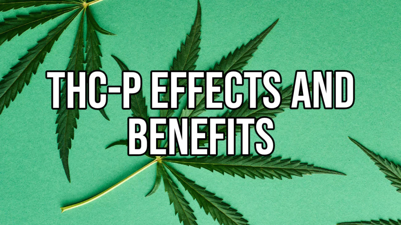 THC-P: Potential Effects and Benefits — 2026 Update