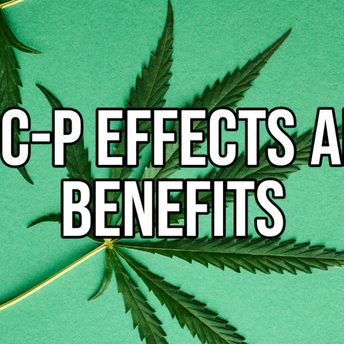 THC-P: Potential Effects and Benefits — 2026 Update