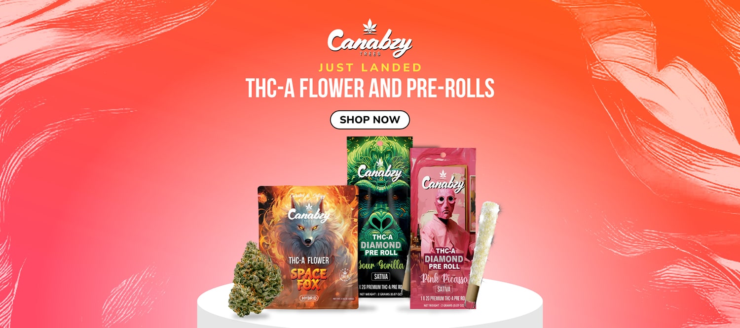 Canabzy Review: Honest Take on THC Products — 2026 Update