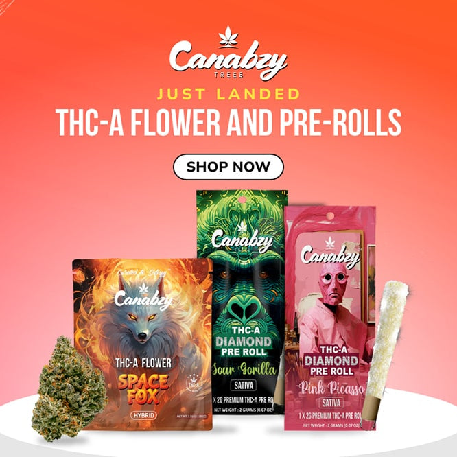 Canabzy Review: Honest Take on THC Products — 2026 Update