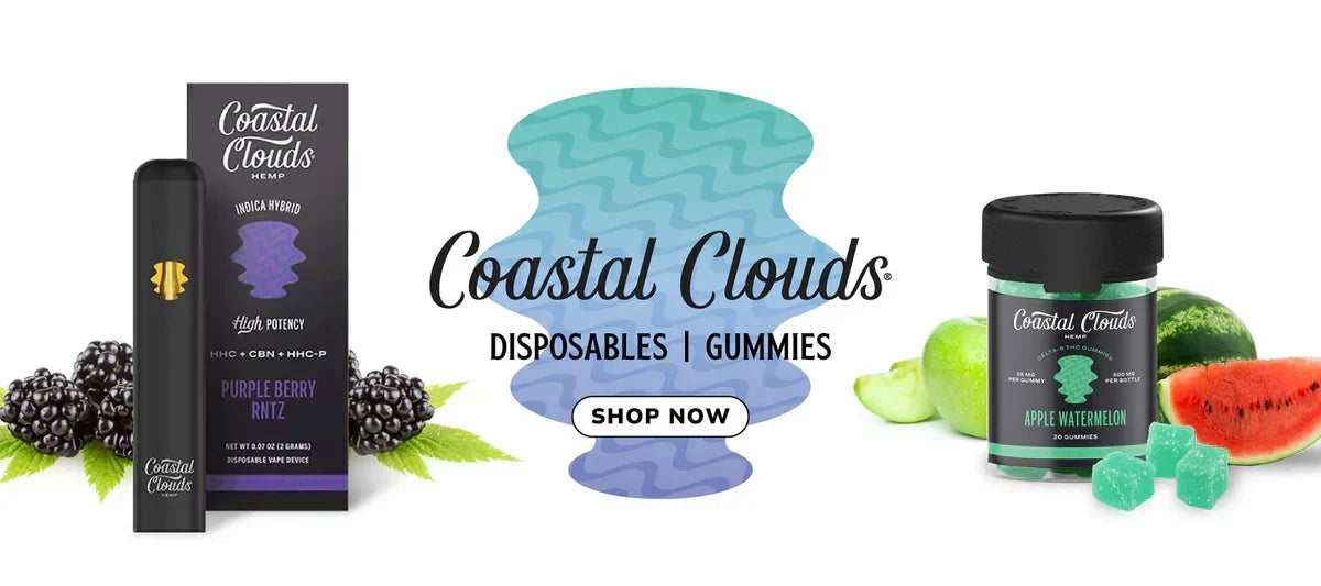 Coastal Clouds Disposable Review — 2026 Update