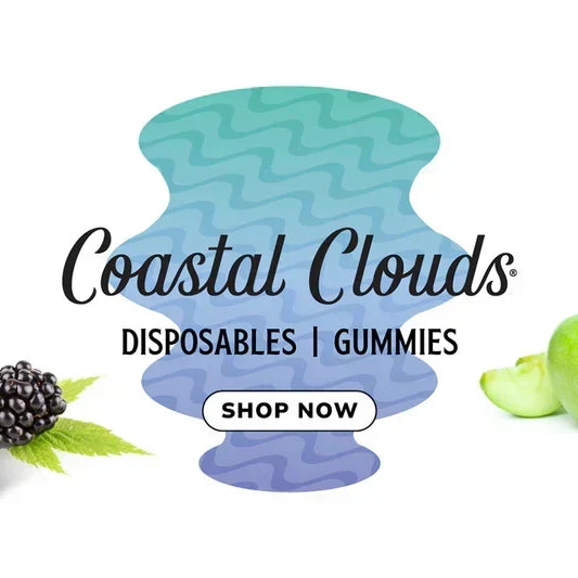 Coastal Clouds Disposable Review — 2026 Update