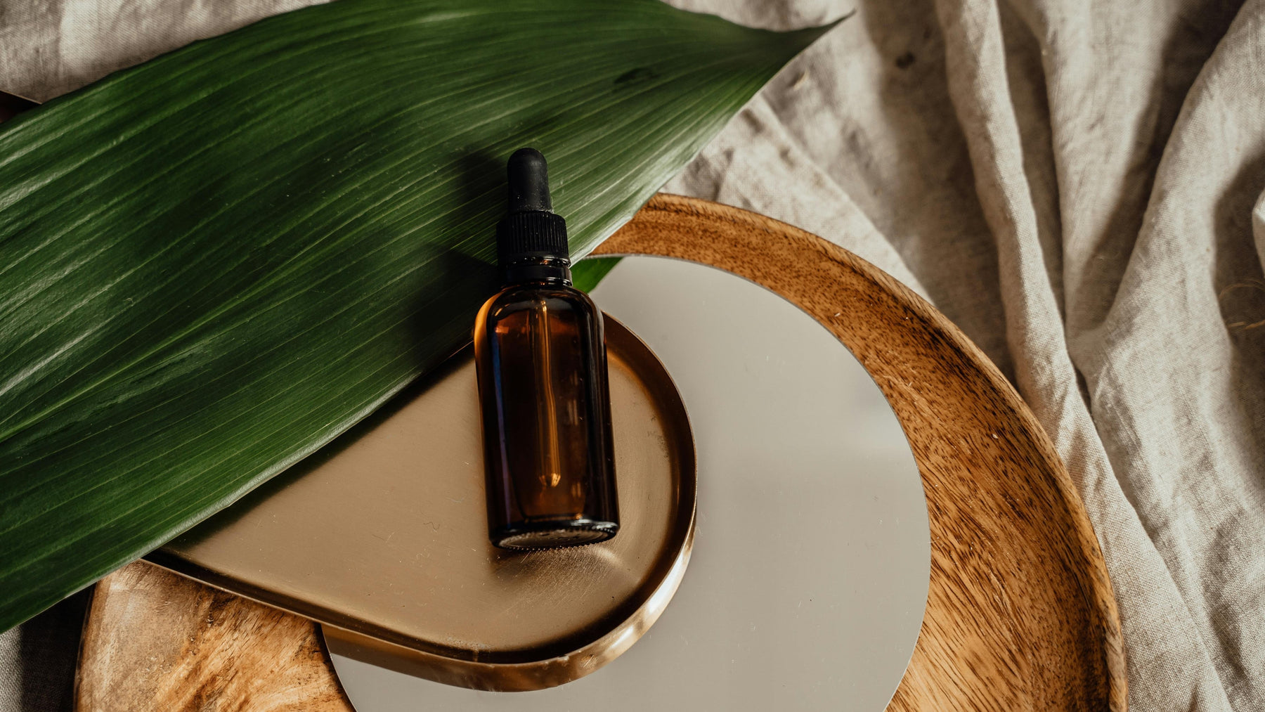 Evolution Of Hemp: Ancient Uses To Today's Favorites