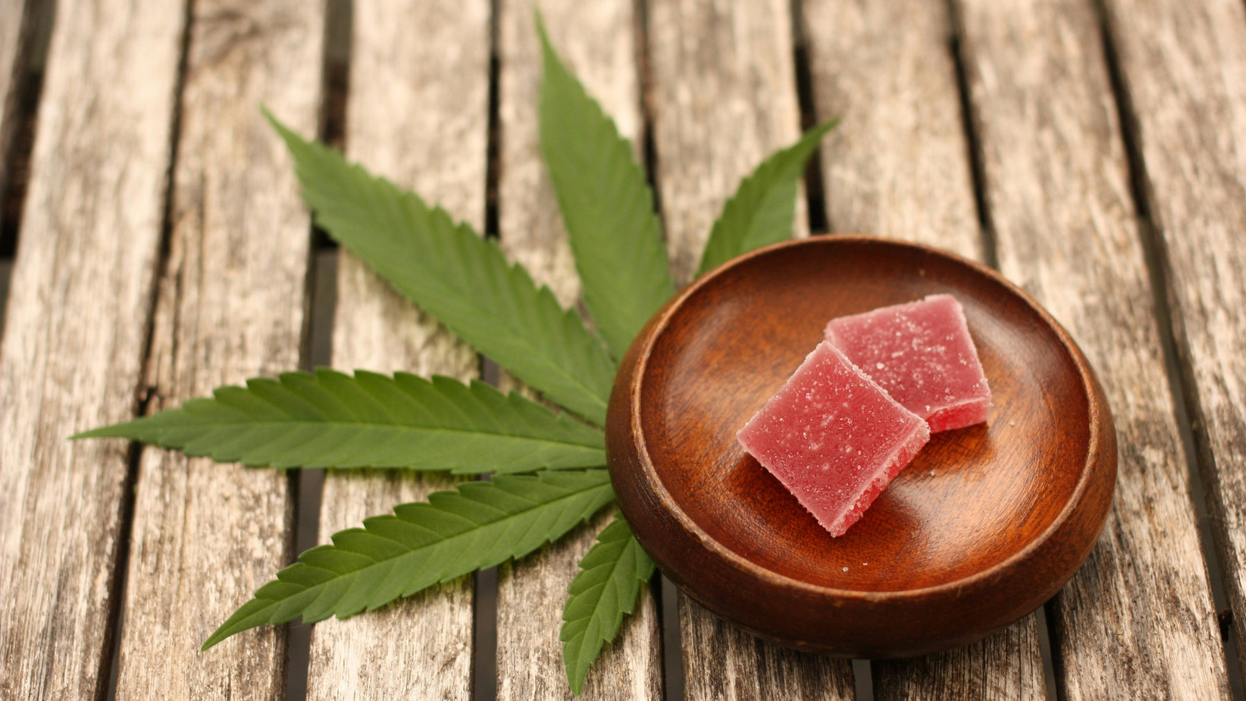Nano THCA vs. Regular THCA: Does It Hit Faster?