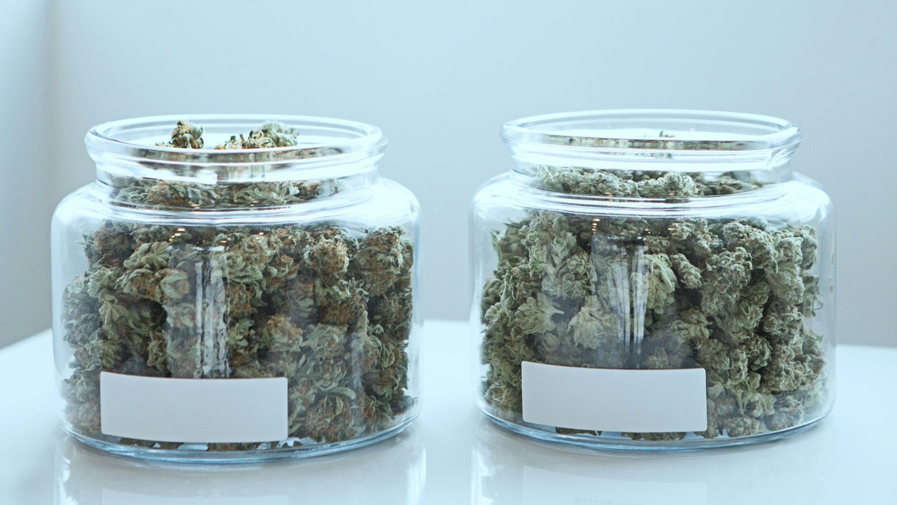 How To Properly Store THCA Flower (And Keep It Fresh For Longer)