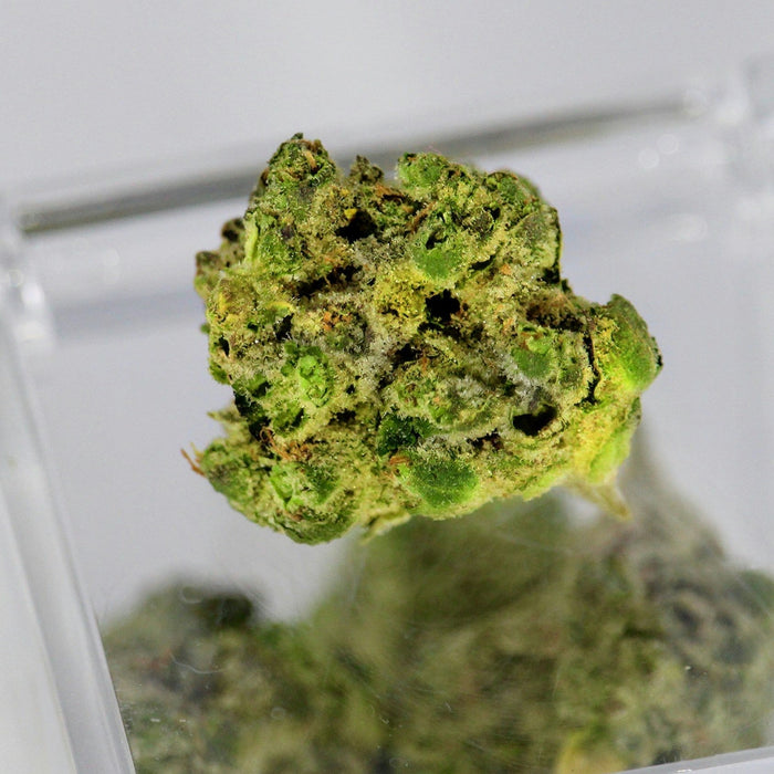What Are Terpenes? Why They Matter More Than You Think