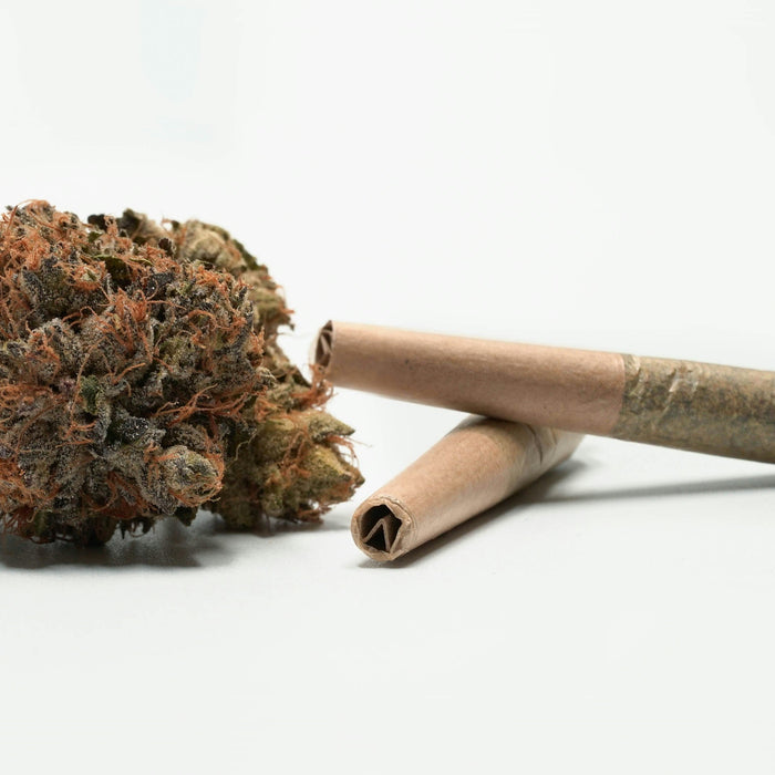 THC Flower vs. THCA Prerolls: Convenience vs Ritual