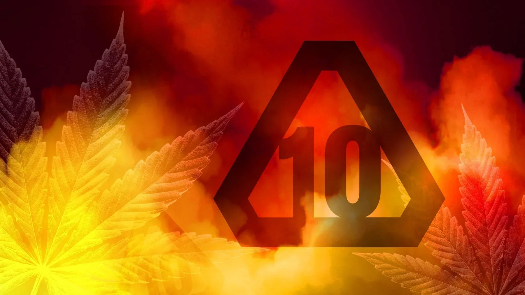 The Rising Popularity of Delta 10: A Comprehensive Guide — 2026 Update
