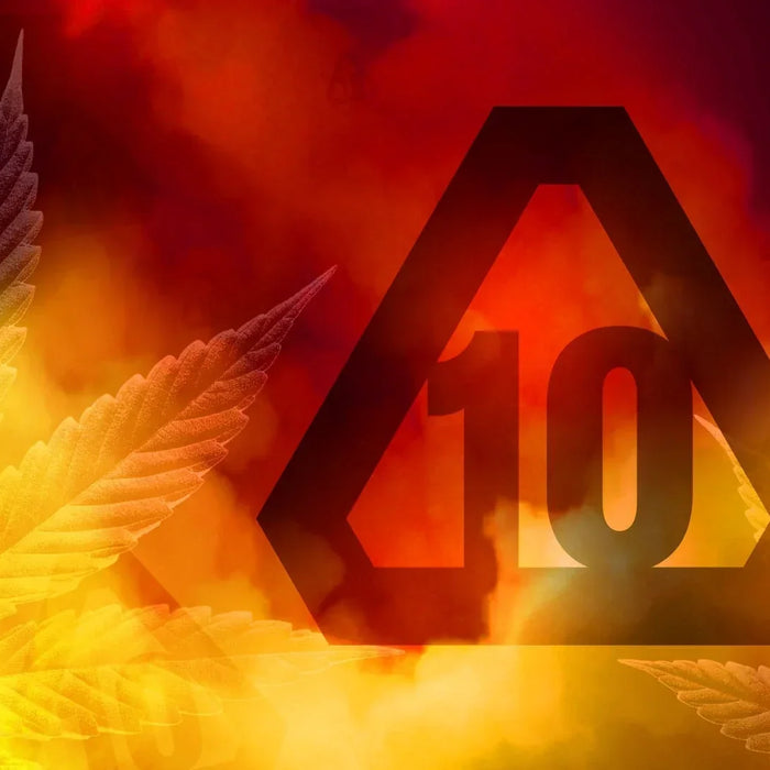 The Rising Popularity of Delta 10: A Comprehensive Guide — 2026 Update