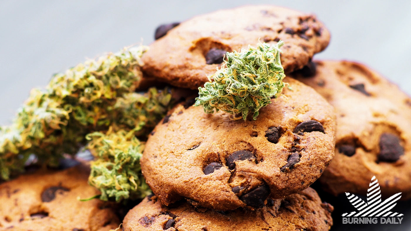 How long do edibles stay in your system?