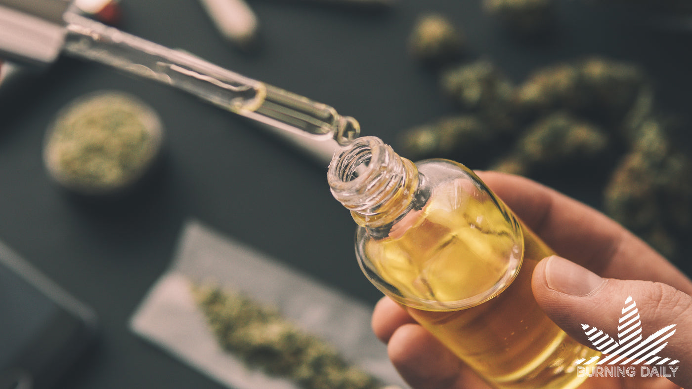 How Long Does CBD Stay in Your System?