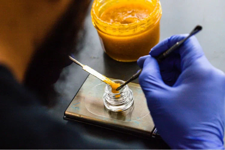 The Production Process of Live Resin — 2026 Update