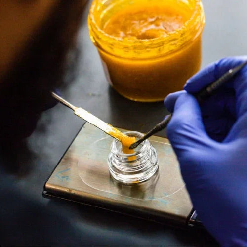 The Production Process of Live Resin — 2026 Update