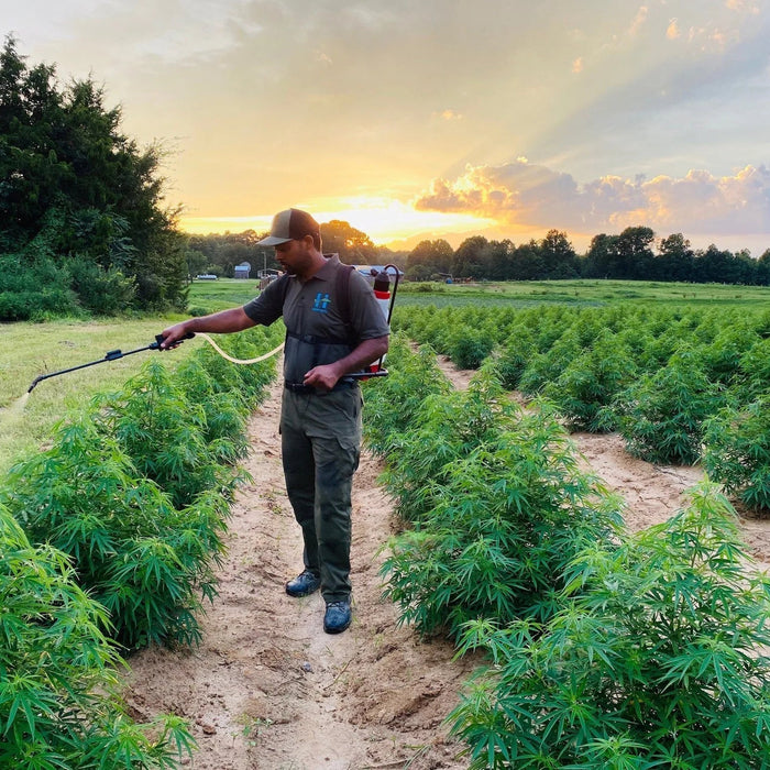 Challenges of Hemp Farming: A Comprehensive Guide — 2026 Update