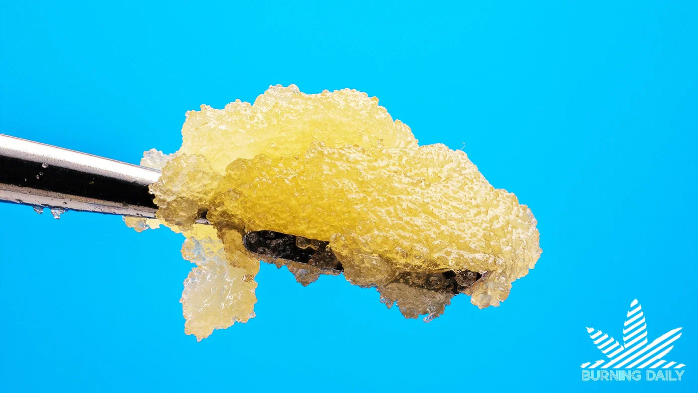 What Is Rosin? Learn More | Burning Daily