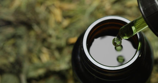 Exploring the Differences: THC-O vs THC-P