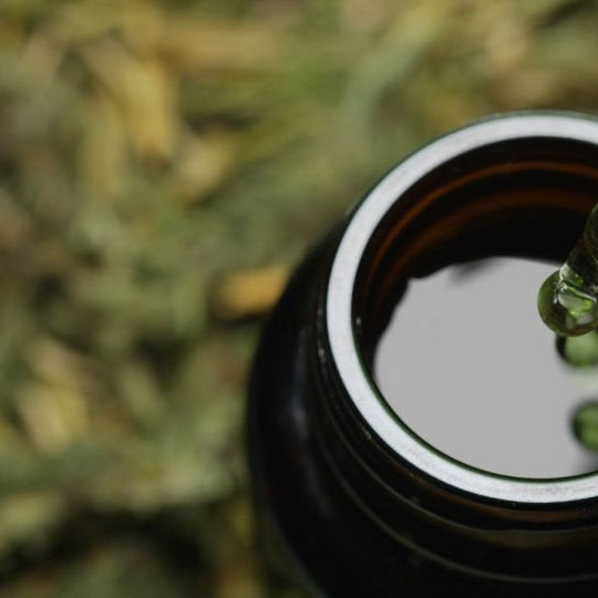 Exploring the Differences: THC-O vs THC-P