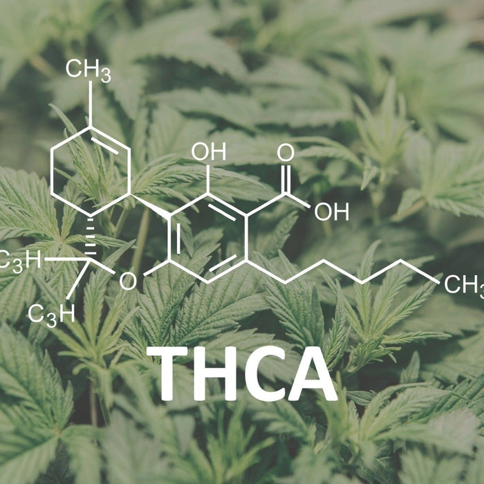 The Best THCA Products? A Practical Comparison Guide