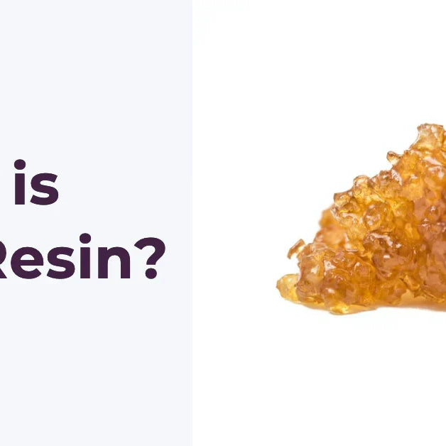 The Science Behind Live Resin — 2026 Update