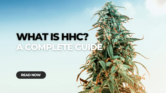 HHC: A Comprehensive Overview