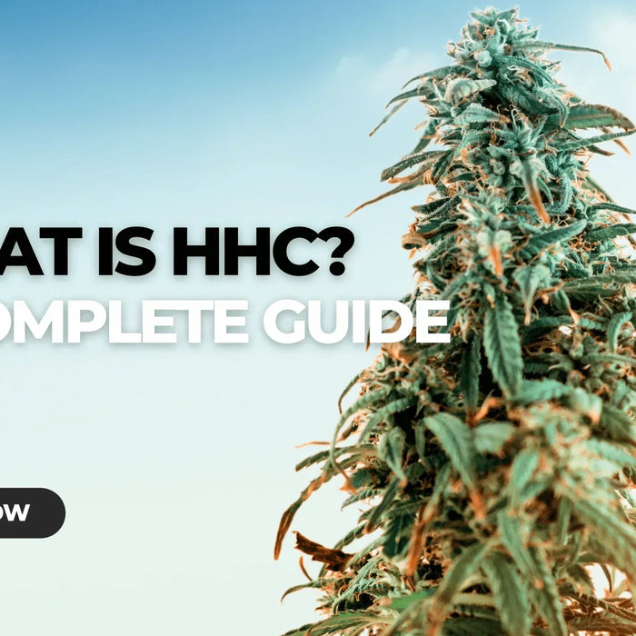 HHC: A Comprehensive Overview — 2026 Update