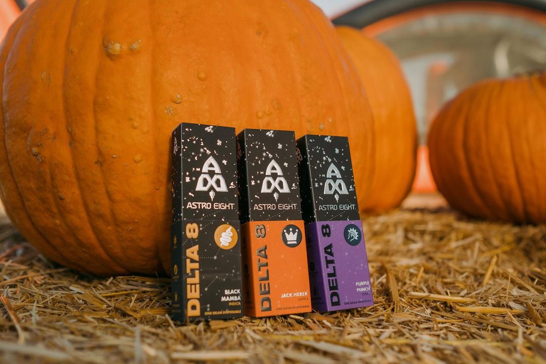 Astro Eight Review: Quality & Value | Burning Daily  BD LOGISTICS