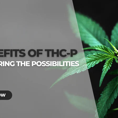 The Therapeutic Potential of THC-P — 2026 Update