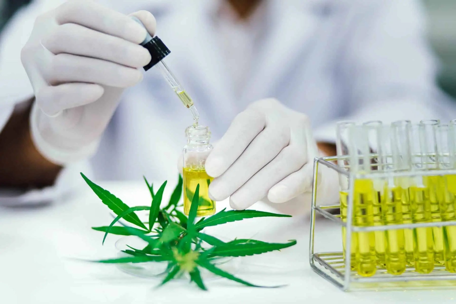 The Role of Delta 9 in Medical Research: Unveiling the Therapeutic Potential — 2026 Update