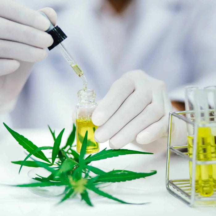 The Role of Delta 9 in Medical Research: Unveiling the Therapeutic Potential — 2026 Update