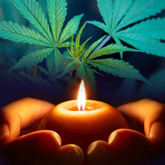 Hemp and Spirituality: A Journey Through Mind, Body, and Soul — 2026 Update