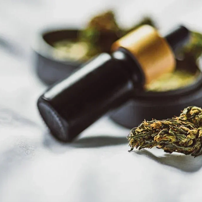 What Are Cannabinoids?