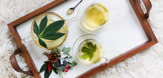 Hemp Beverages: Exploring the Rise of CBD-infused Drinks